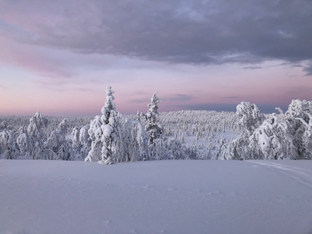 Open fell landscape in Saariselkä, Finnish Lapland