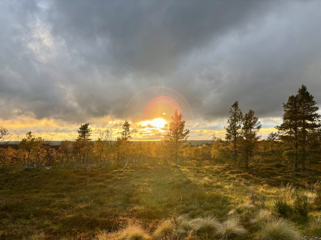 Summer fell landscape in Saariselkä, Lapland