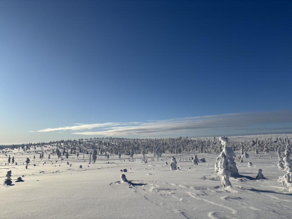Open fell landscape in Saariselkä, Finnish Lapland