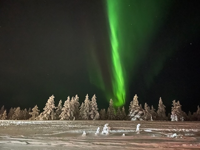 Northern lights in the winter sky over Saariselkä